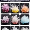Crystal Growing Science Kit for STEM Learning