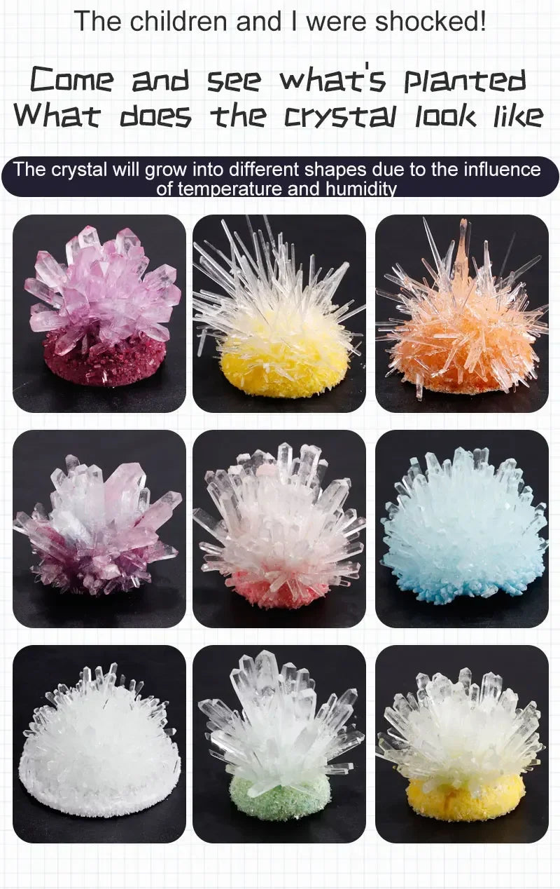 Crystal Growing Science Kit for STEM Learning