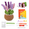 A crochet kit for a potted plant featuring various yarn colors and tools like a pot and plant elements.