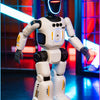 Interactive Gesture-Controlled Robot with Dance and Learning Modes
