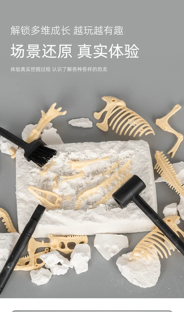 A set of dinosaur fossils and bones is displayed on a white surface with brushes and excavation tools.