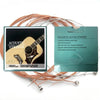 Acoustic Guitar Strings Set – Durable Steel Core with Coated Copper Alloy Windings