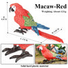Realistic Bird Figurine Set – Educational PVC Models for Kids and Collectors