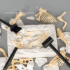 A set of dinosaur fossil excavation tools and skeletal remains is displayed on a white block for a kids' discovery kit.