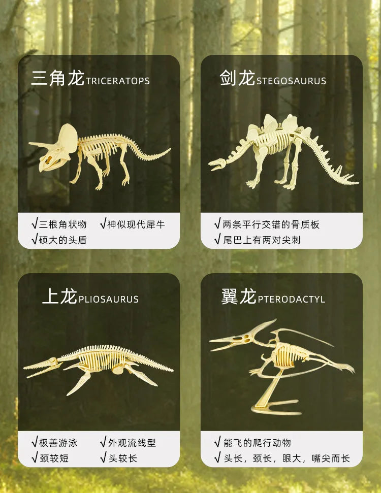 A set of dinosaur fossil dig kits featuring Triceratops, Stegosaurus, Plesiosaurus, and Pterodactyl models.