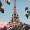 A close-up view of the Eiffel Tower against a blue sky, framed by pink flowers and green foliage.