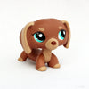 A brown dachshund bobblehead figurine with large blue eyes and floppy ears.