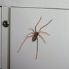Realistic Spider Fridge Magnet – Fun Prank Decor