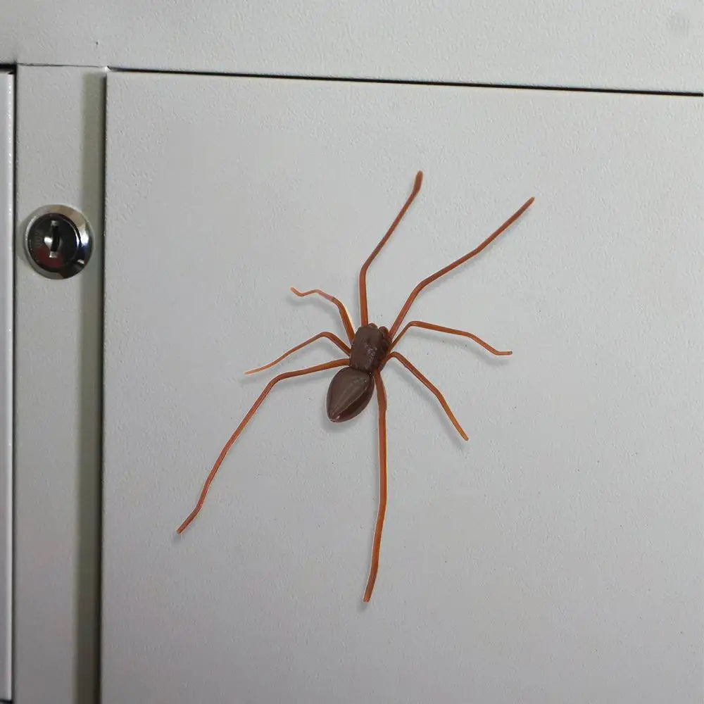 Realistic Spider Fridge Magnet – Fun Prank Decor