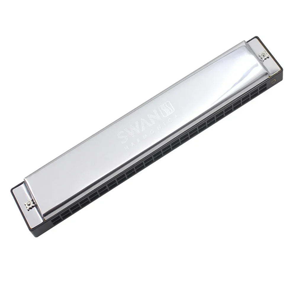 Silver 24-hole tremolo harmonica in a protective case