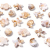 Variety pack of acrylic beads shaped like starfish, conch, and turtle in various natural colors