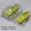 A set of wind-up insect toys including a ladybug, bee, and beetle, packaged in clear plastic.