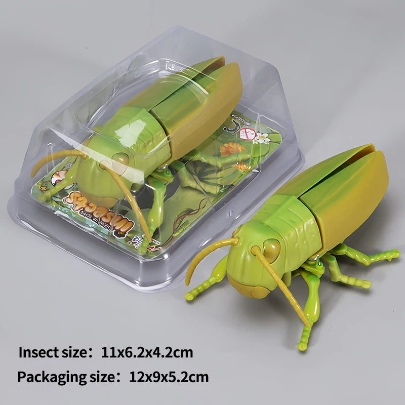 A set of wind-up insect toys including a ladybug, bee, and beetle, packaged in clear plastic.