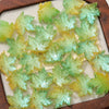 A collection of translucent green and yellow maple leaf glass beads for DIY jewelry making