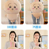 A comparison of Chiikawa Hachiware and Usagi plush dolls shown in various sizes, including 100%, 75%, 60%, and 35% scale.