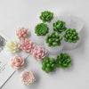 3D Succulent Flower Silicone Mold Set for Baking & Crafts