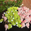 A pile of handmade crochet dinosaur keychains in various shades of green and pink.