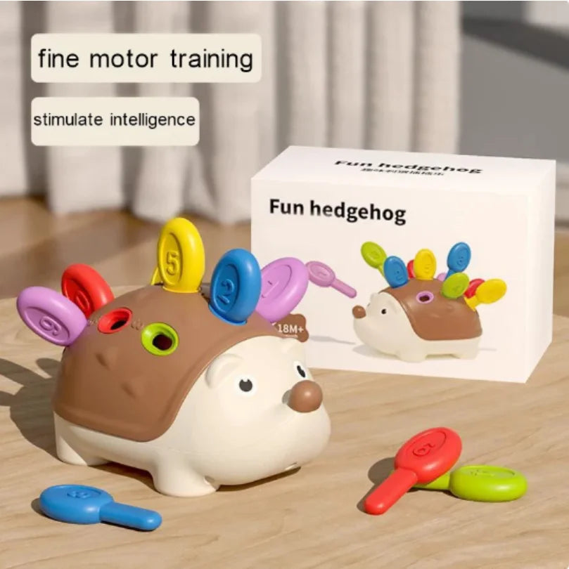 Montessori Hedgehog Toy for Fine Motor Skills and Sensory Learning