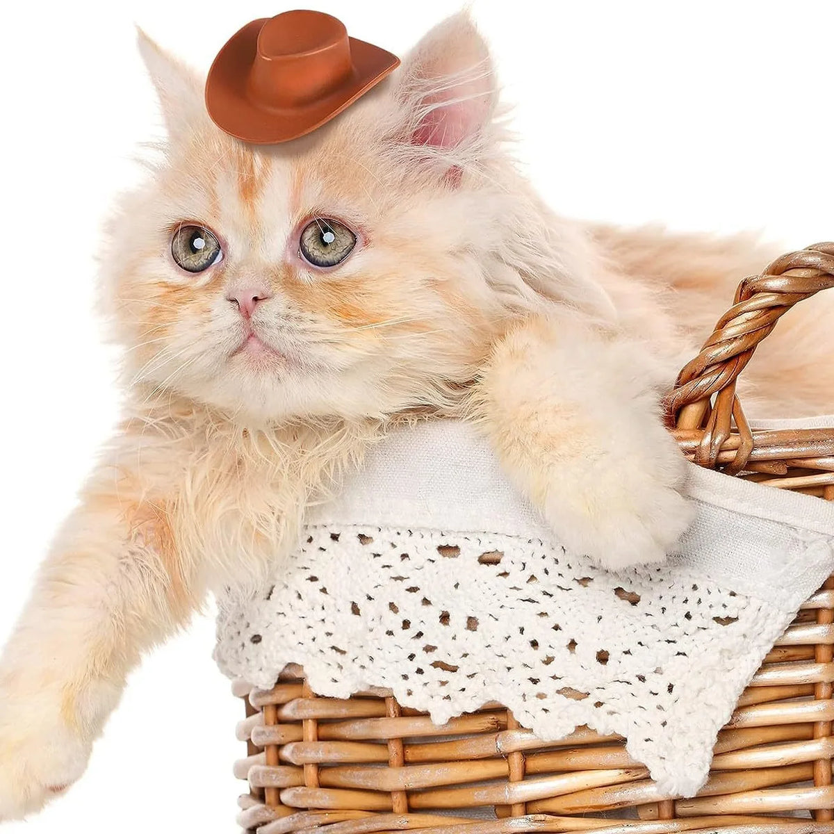 Mini Plastic Cowboy Hats for Party Favors and Cake Toppers