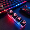 A clear acrylic keychain featuring paw print keycaps with LED lighting resting on a dark surface.