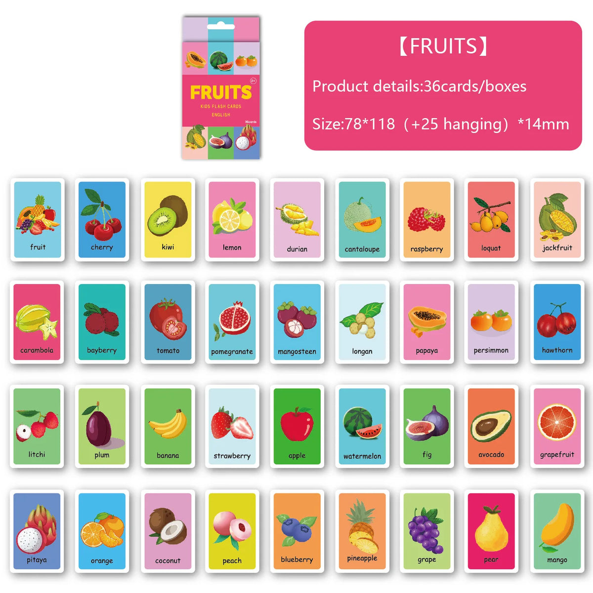 Animal Shape Color & Time Learning Flash Cards for Kids