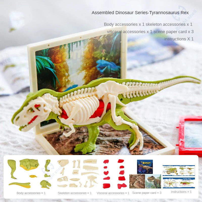 Assembled Dinosaur Series Tyrannosaurus Rex model kit with accessories and instructions