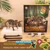 A box of dinosaur triceratops excavation kits showing a fossil skeleton model and goggles on a wooden table.