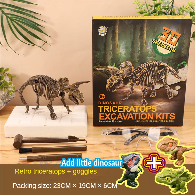 A box of dinosaur triceratops excavation kits showing a fossil skeleton model and goggles on a wooden table.