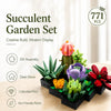 A succulent garden set featuring various green and purple plants built into a modern display kit.