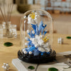A glass dome display of a buildable eternal rose flower kit featuring white and blue floral elements.