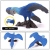 Realistic Bird Figurine Set – Educational PVC Models for Kids and Collectors
