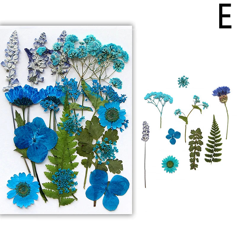 A collection of pressed natural dried flowers in various shades of blue and green for crafting.