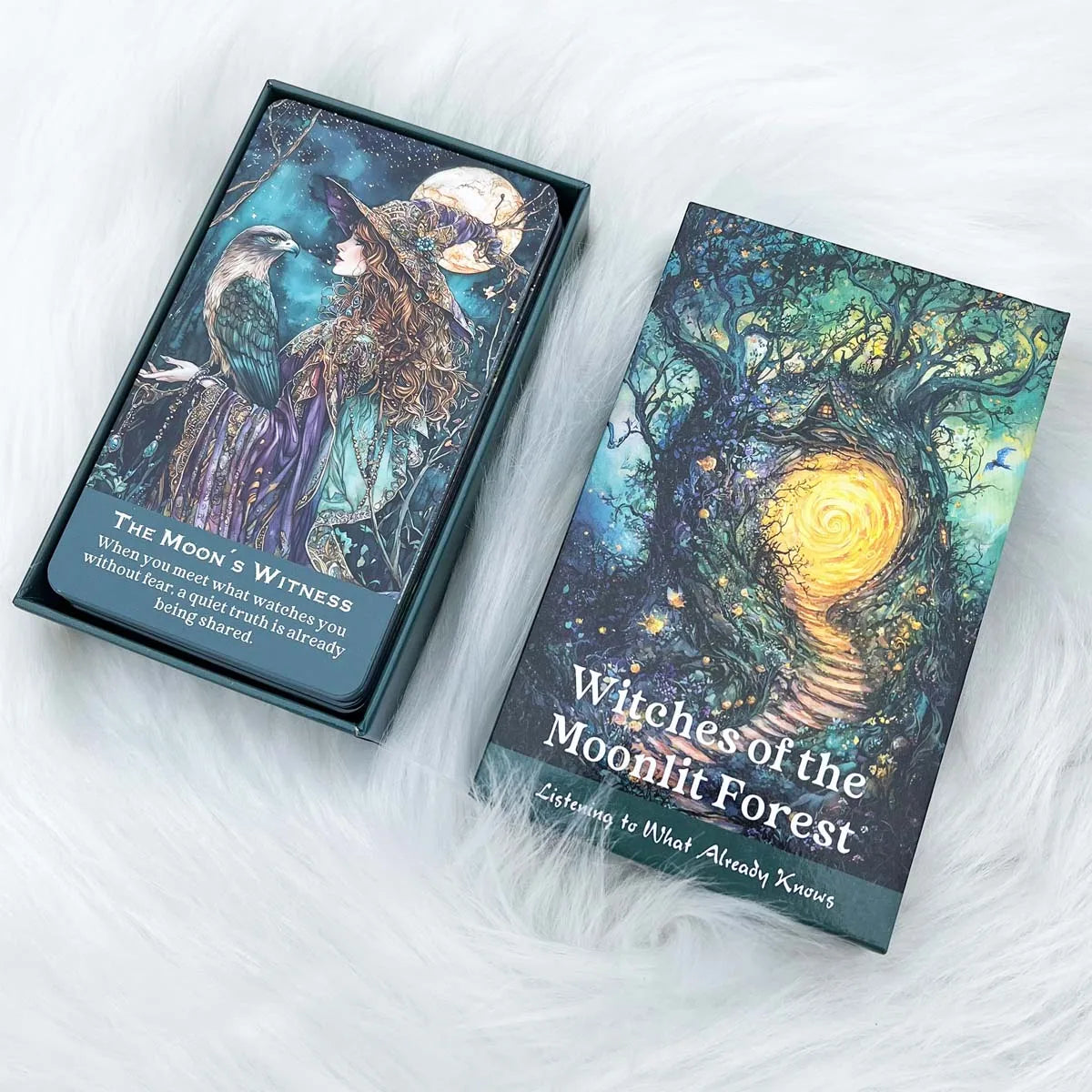 Witches of the Moonlit Forest Oracle Deck