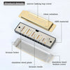 10-Hole Diatonic Harmonica in C with Storage Case