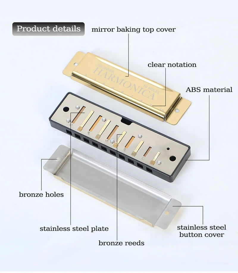 10-Hole Diatonic Harmonica in C with Storage Case