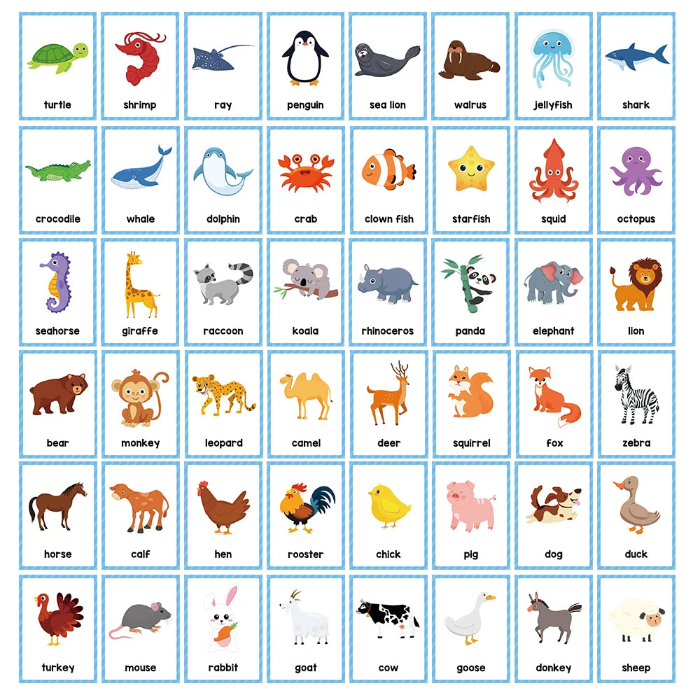 Montessori English Word Learning Cards for Kids