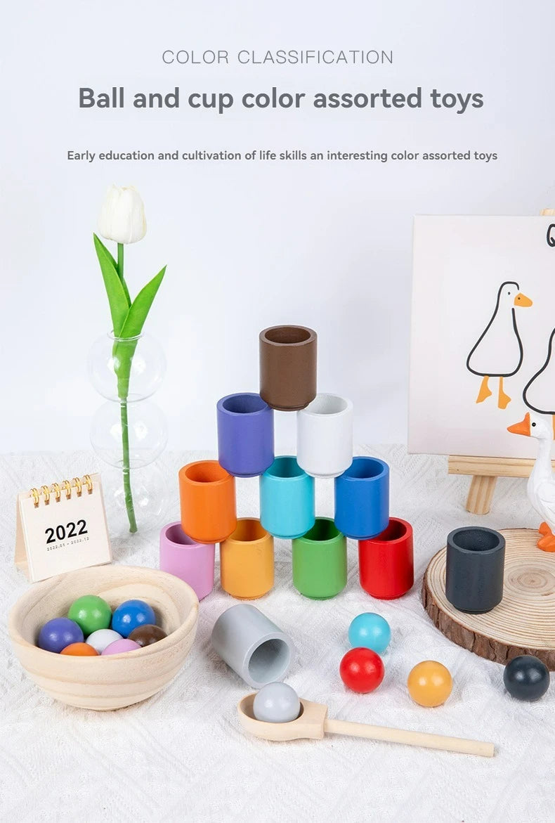 Assorted wooden ball and cup toys in various colors arranged on a white surface.