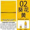 Permanent Fabric Paint for Clothes, T-Shirts & Canvas