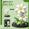 A kit for building a flower arrangement using building blocks, featuring white and green components.