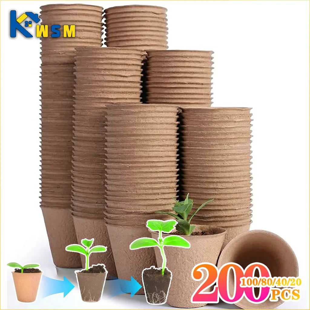 A stack of biodegradable peat pots for seed starting, showing various sizes and a small seedling.