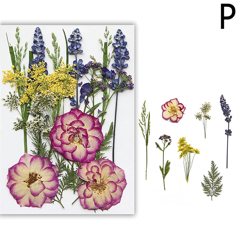 Pressed natural dried flowers including purple and yellow blooms for resin, nail art, and jewelry making