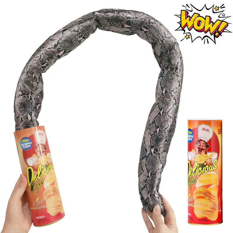Surprise Prank Snake in a Potato Chip Can