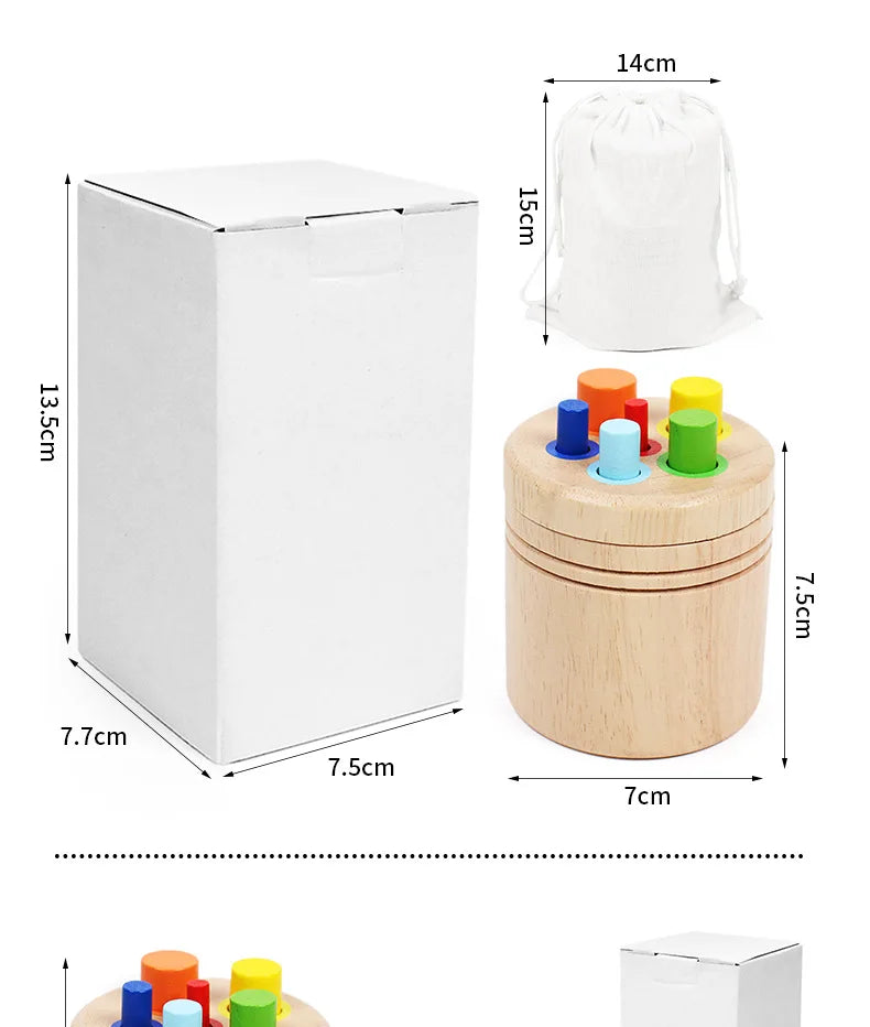 Wooden Montessori Color Sorting Toy for Toddlers