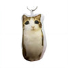 A plush keychain of a tabby cat with large eyes, designed as a stress relief and fidget toy.