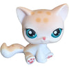 A white cat bobble head figurine with orange spots and bright blue eyes.