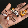 A hand holds a set of insect and plant life cycle models including a beetle, a moth, and a seed pod.