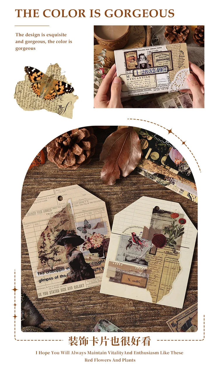 A collection of vintage PET sticker sheets for journaling and scrapbooking featuring floral and natural elements.