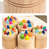 Wooden Montessori Color Sorting Toy for Toddlers
