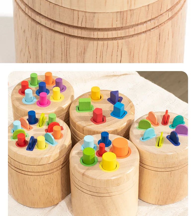 Wooden Montessori Color Sorting Toy for Toddlers