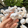 A hand holds a small white crocheted animal keychain, resembling a rabbit or chick.
